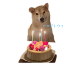 765422209