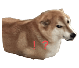 765422214