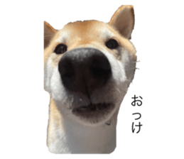 765422215