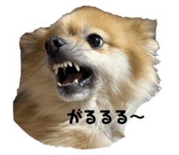 765425729
