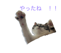 765425793