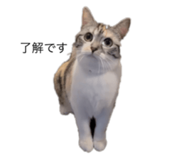 765425804