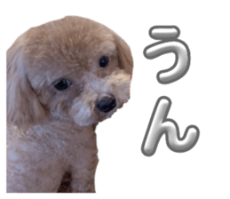 765426138