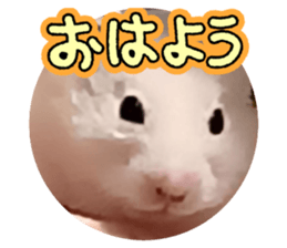 765426651