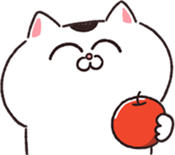 765439497