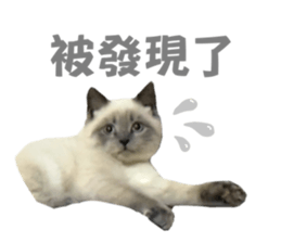 765444719