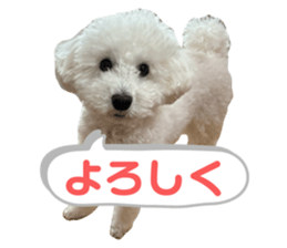 765446926