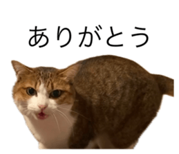 765448020
