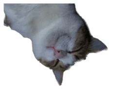 765448029