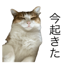 765448048