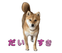 765449983