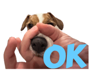 765450356