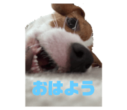 765450359