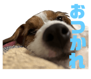 765450360