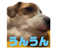 765450364