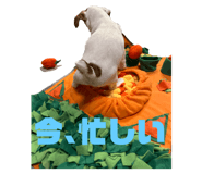 765450369