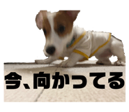 765450379