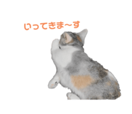 765450827