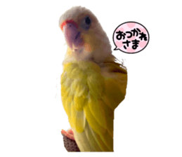 765452656