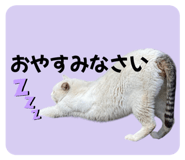 765452848