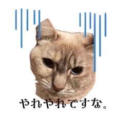 765455802