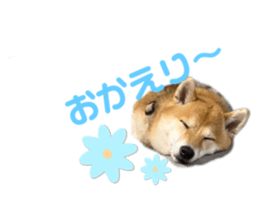 765469254