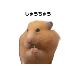 765470903