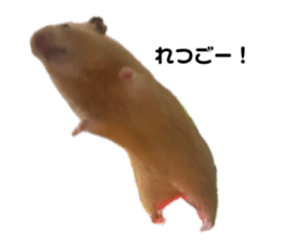 765470904