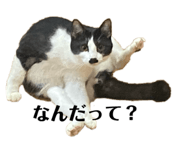 765477820