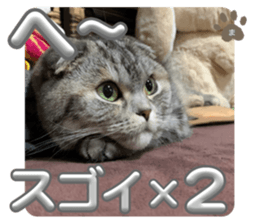 765478499