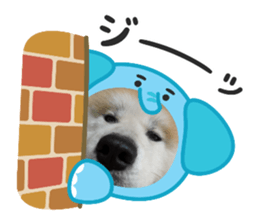765480021