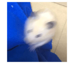765480400