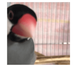765480415
