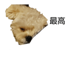765486150