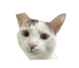 765492945