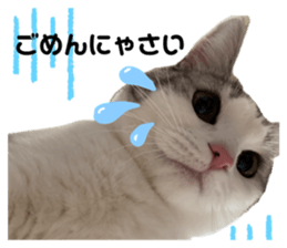 765494028