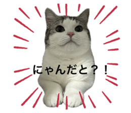 765494047