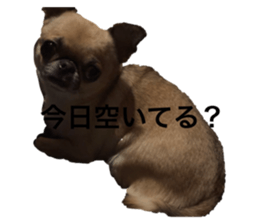 765495062