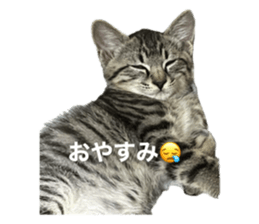 765496031
