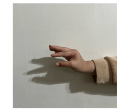 765501497