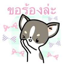 7655024