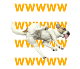 765503966