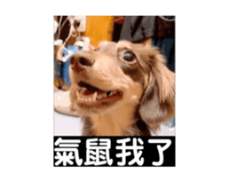 765504286