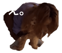 765507062