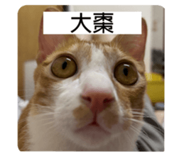 765509604