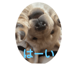 765511366