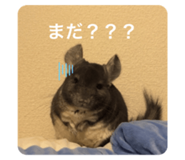 765512723