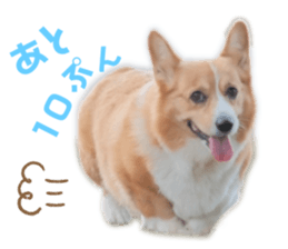 765514235