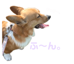 765514247
