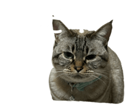 765514336